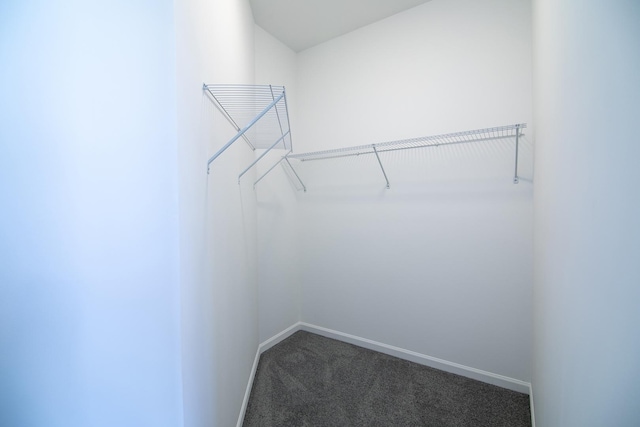 121 Pine St, Buckingham, IL 60917 - walk in closet with carpet flooring