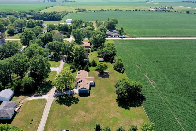 121 Pine St, Buckingham, IL 60917 - aerial view of property and surrounding area with rural landscape and rows of crops