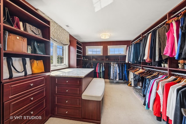 1227 Arnold Ct, Downers Grove, IL 60516 - photo 48