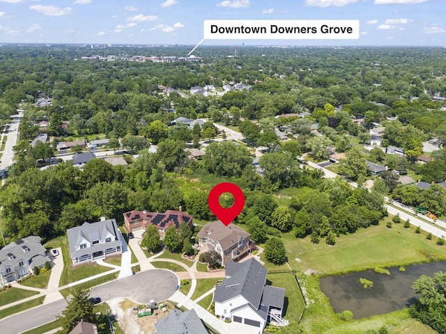 1227 Arnold Ct, Downers Grove, IL 60516 - photo 66