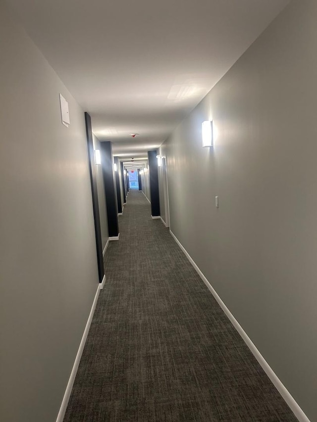 200 Park Ave Unit 634, Calumet City, IL 60409 - hallway with dark colored carpet and baseboards