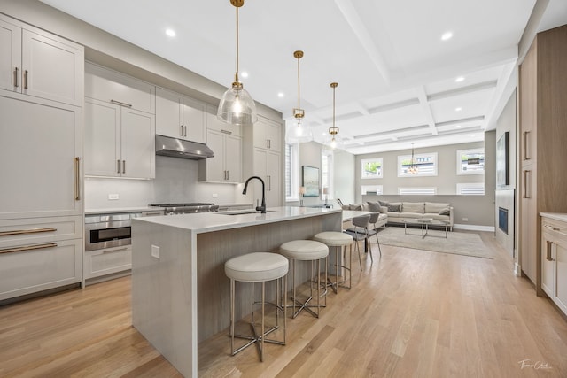 1642 W Wolfram St, Chicago, IL 60657 - kitchen with under cabinet range hood, coffered ceiling, open floor plan, light wood finished floors, and recessed lighting
