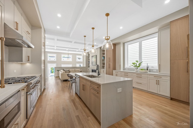 1642 W Wolfram St, Chicago, IL 60657 - kitchen featuring under cabinet range hood, appliances with stainless steel finishes, open floor plan, recessed lighting, and a center island with sink