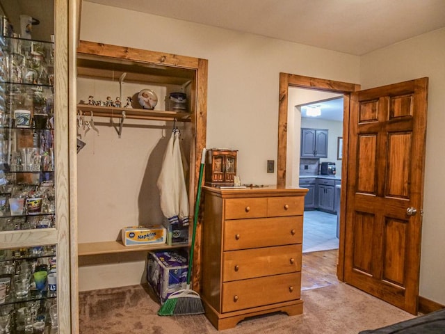 26 N Deer Lk, Villa Grove, IL 61956 - view of closet