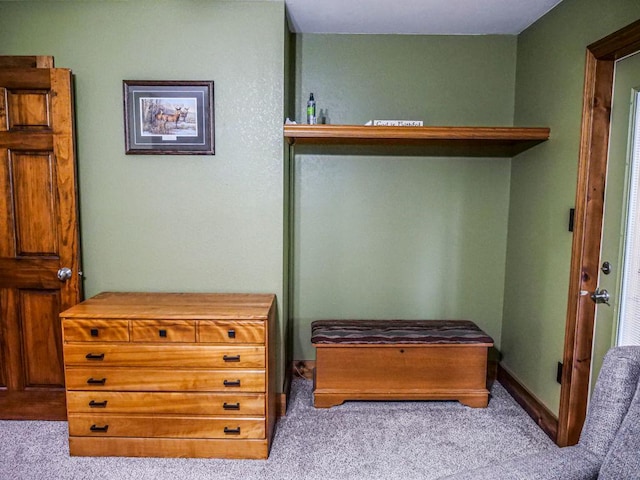 26 N Deer Lk, Villa Grove, IL 61956 - detailed view of carpet