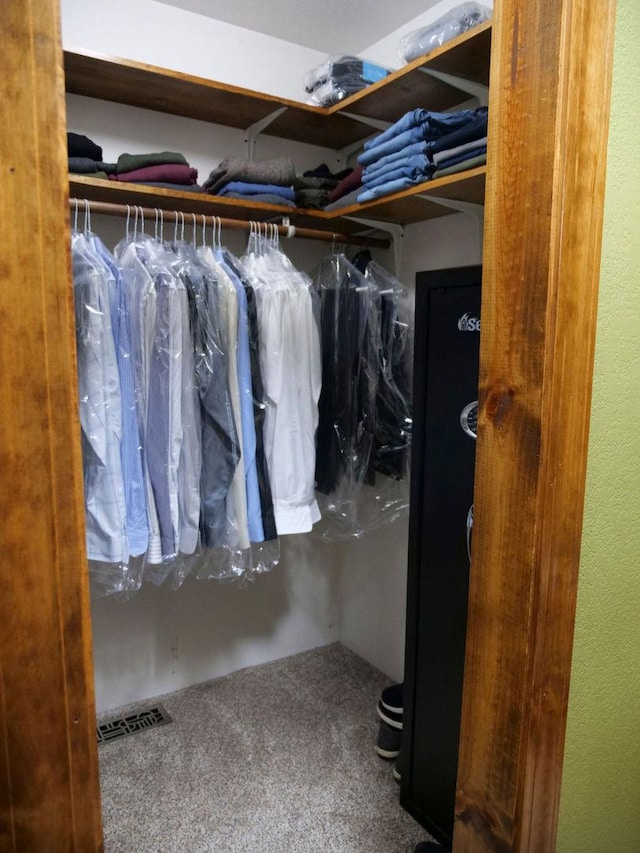 26 N Deer Lk, Villa Grove, IL 61956 - walk in closet featuring carpet flooring