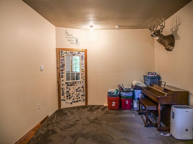 26 N Deer Lk, Villa Grove, IL 61956 - view of carpeted bedroom
