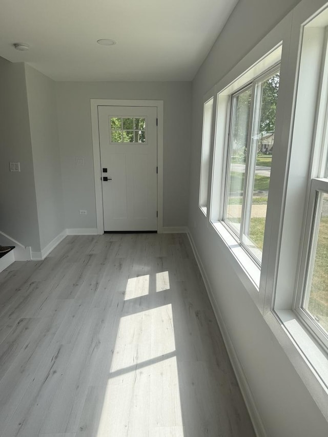 309 SE Circle Dr, Joliet, IL 60433 - foyer featuring healthy amount of natural light and wood finished floors