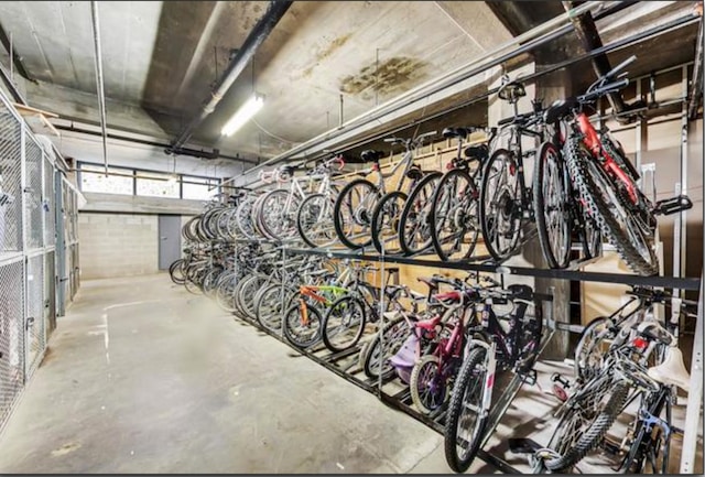 124 W Polk St Unit 203, Chicago, IL 60605 - garage featuring bike storage