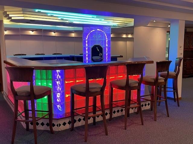 512 Tana Ln, Joliet, IL 60435 - indoor dry bar featuring carpet flooring