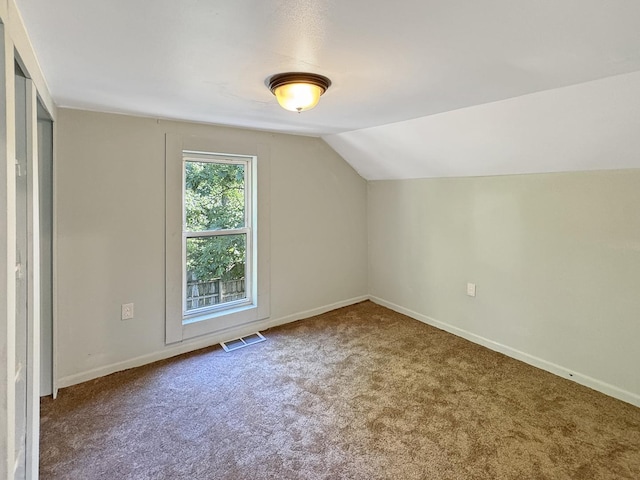 725 Opal St, Marseilles, IL 61341 - bonus room with carpet and lofted ceiling