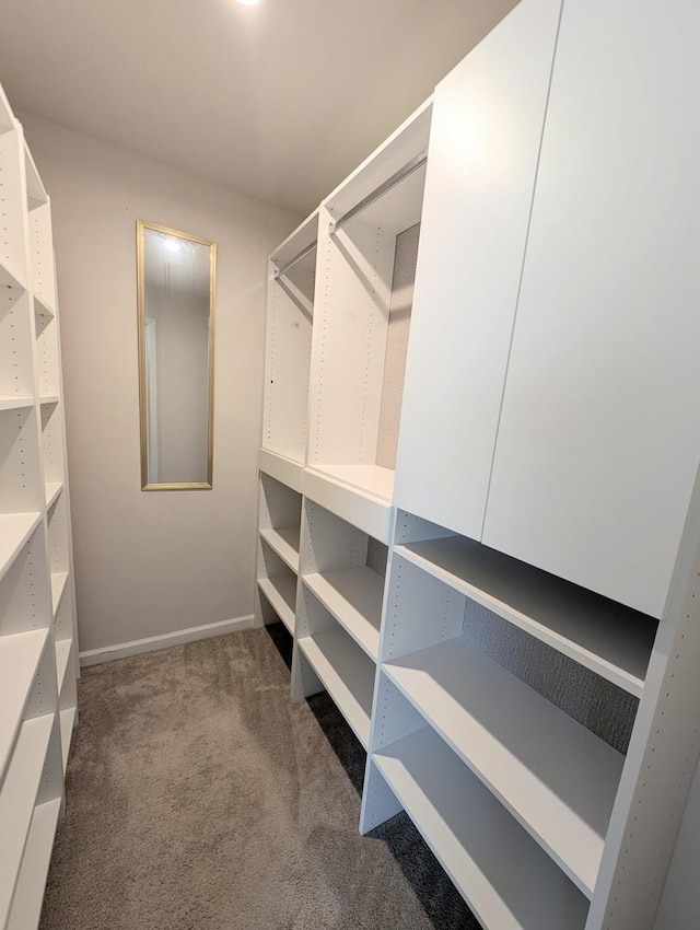 63 Nicholas Dr W, Des Plaines, IL 60016 - spacious closet with carpet flooring