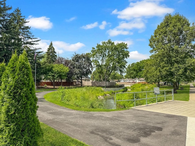 328 Thunderbird Trl, Carol Stream, IL 60188 - view of community