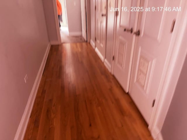 2651 E 74th St Unit 201, Chicago, IL 60649 - corridor with wood finished floors and baseboards