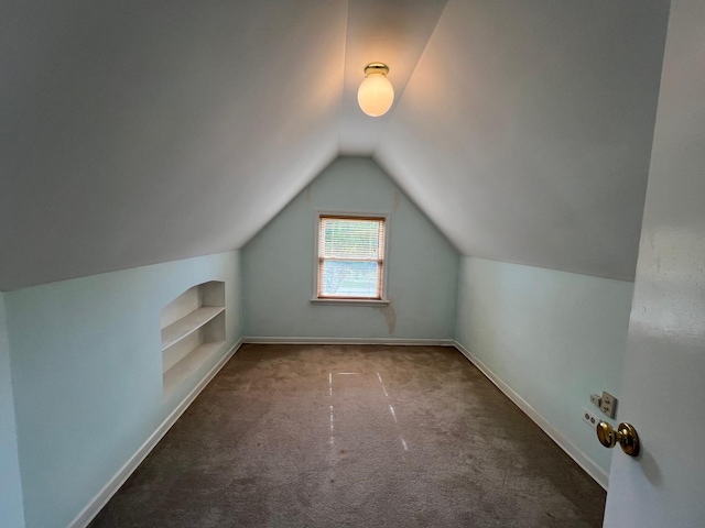 4225 Highland Ave, Downers Grove, IL 60515 - additional living space featuring built in shelves, carpet flooring, and lofted ceiling