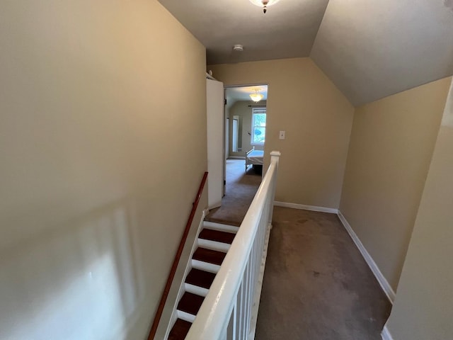 4225 Highland Ave, Downers Grove, IL 60515 - stairs with carpet flooring and vaulted ceiling