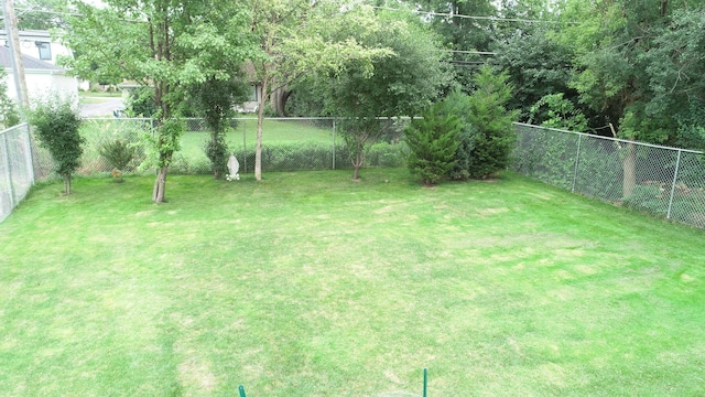 4225 Highland Ave, Downers Grove, IL 60515 - view of fenced backyard
