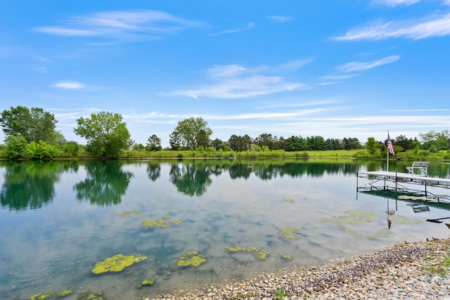 22601 S Spencer Rd, New Lenox, IL 60451 - photo 49