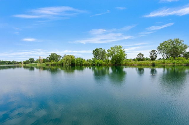 22601 S Spencer Rd, New Lenox, IL 60451 - photo 50