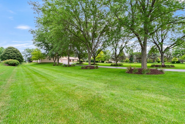 22601 S Spencer Rd, New Lenox, IL 60451 - photo 77
