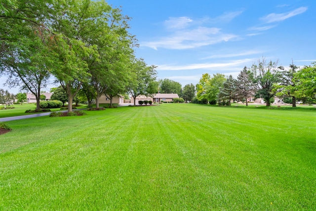 22601 S Spencer Rd, New Lenox, IL 60451 - photo 78