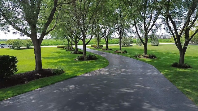 22601 S Spencer Rd, New Lenox, IL 60451 - photo 84