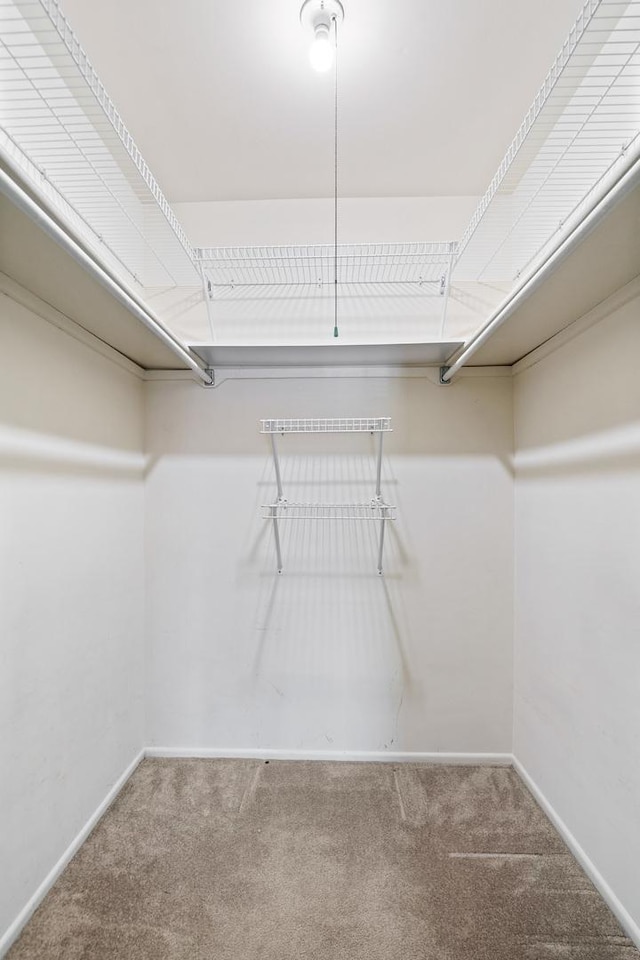 543 Williamsburg Ct Unit C2, Wheeling, IL 60090 - spacious closet featuring carpet flooring