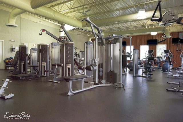 251 Maryland Ln, Pingree Grove, IL 60140 - view of exercise room