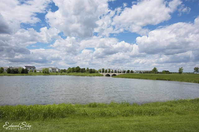 251 Maryland Ln, Pingree Grove, IL 60140 - water view