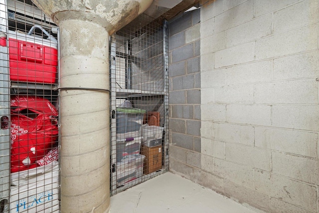 2021 S Wolf Rd Unit 2-118, Hillside, IL 60162 - view of storage