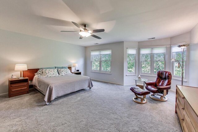 4226 Henry Way, Northbrook, IL 60062 - photo 16