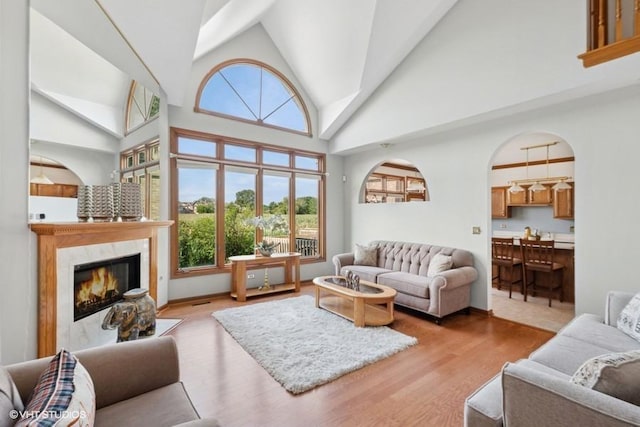 6919 Lexington Ct, Tinley Park, IL 60477 - living room with plenty of natural light, high vaulted ceiling, light wood-style floors, and a premium fireplace