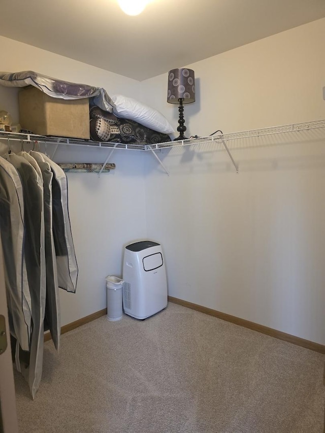 415 Andrea Ct, Harvard, IL 60033 - walk in closet featuring light carpet