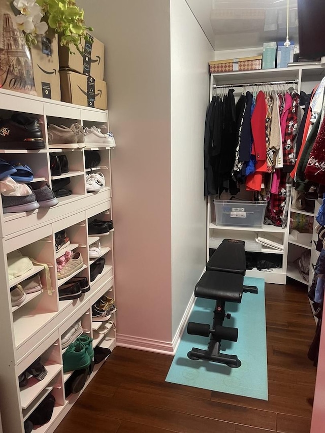 11A Kingery Quarter Unit 202, Willowbrook, IL 60527 - walk in closet with wood finished floors