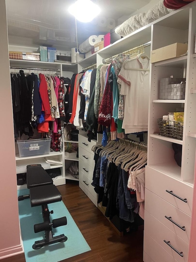 11A Kingery Quarter Unit 202, Willowbrook, IL 60527 - walk in closet featuring wood finished floors