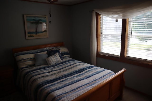 207 E N St, Walnut, IL 61376 - view of bedroom