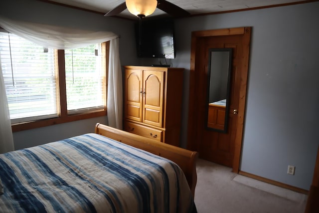 207 E N St, Walnut, IL 61376 - bedroom featuring carpet floors and a ceiling fan