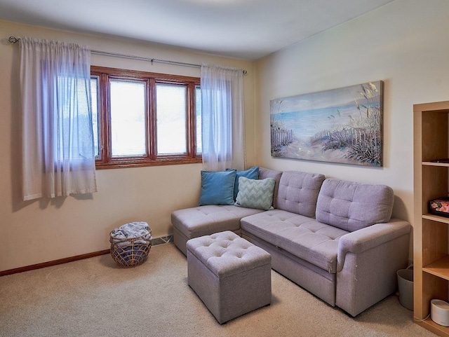 913 S See Gwun Ave, Mount Prospect, IL 60056 - living room with carpet and baseboards