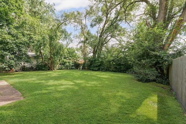 1208 Bel Aire Dr, Rantoul, IL 61866 - photo 15