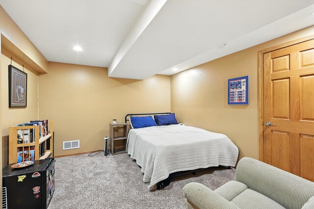 8824 Woodbine Ct, Tinley Park, IL 60487 - photo 31