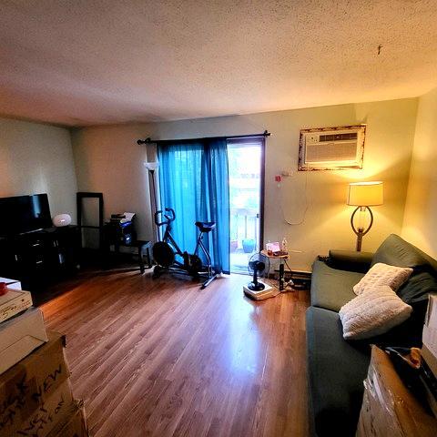 212 Madison St Unit 3B, Joliet, IL 60435 - photo 4