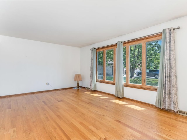8564 Cherry Stone Pl, Tinley Park, IL 60487 - empty room with light wood-type flooring
