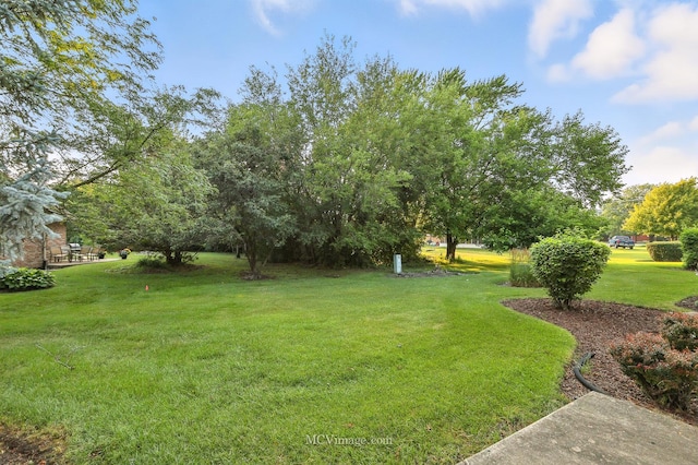 18310 Pine Wood Ct, Tinley Park, IL 60477 - photo 23