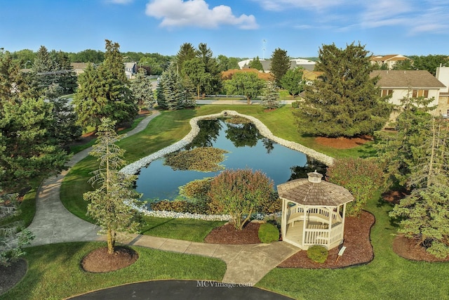18310 Pine Wood Ct, Tinley Park, IL 60477 - photo 30