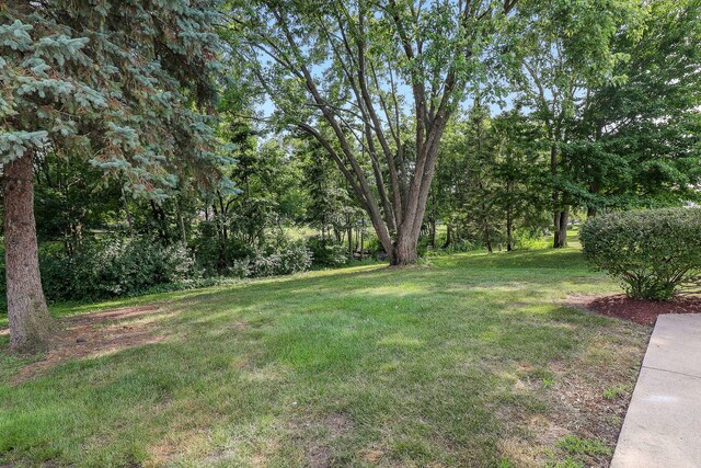 1302 Haverhill Cir, Naperville, IL 60563 - view of green lawn