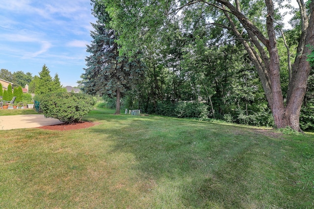 1302 Haverhill Cir, Naperville, IL 60563 - view of green lawn