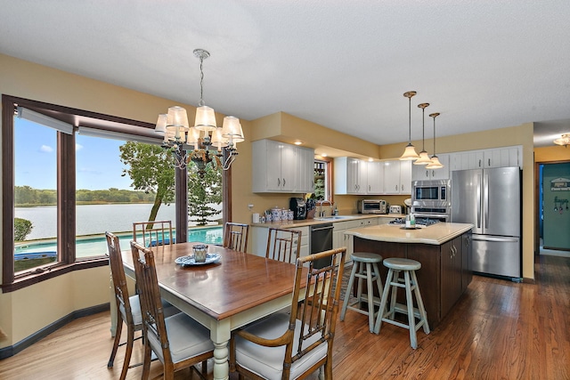 1606 Gregden Shores Dr, Sterling, IL 61081 - dining room featuring wood finished floors, a chandelier, and a water view