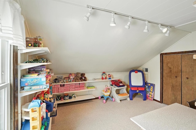 28457 S Yates Ave, Beecher, IL 60401 - playroom with rail lighting, carpet flooring, and lofted ceiling