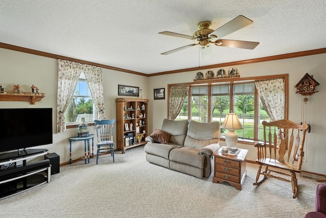 28457 S Yates Ave, Beecher, IL 60401 - living area with carpet, ceiling fan, a textured ceiling, and crown molding