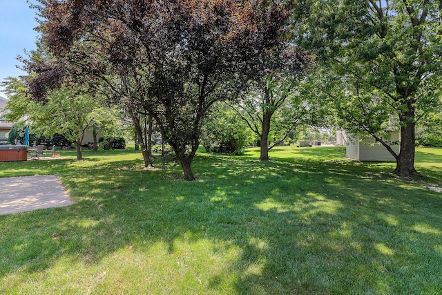 1918 N Yale Ave, Arlington Heights, IL 60004 - view of green lawn